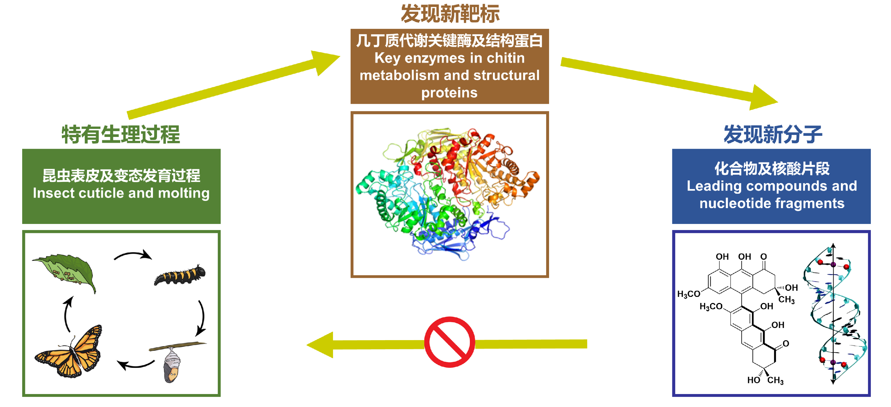生物分子靶标研究室-大连理工大学生物工程学院(新)